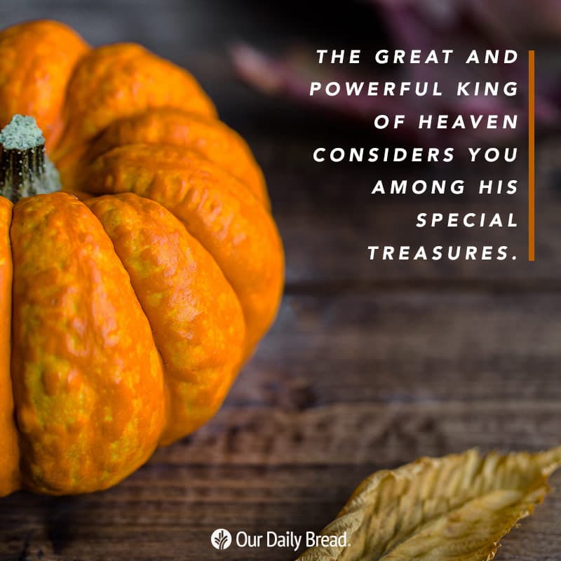 Share ODB 2019-11-25 Share ODB 2019-11-25