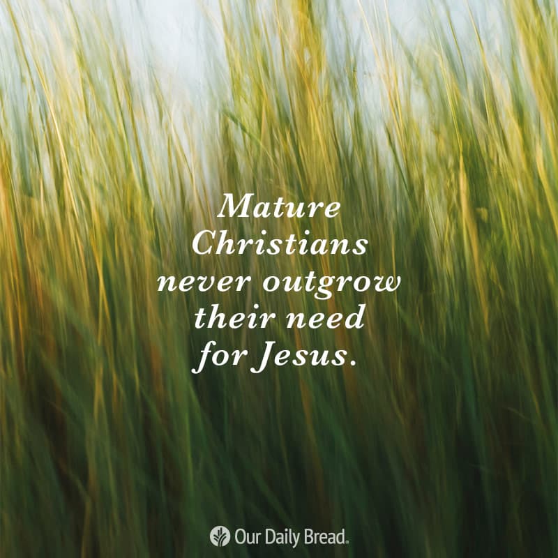 Share ODB 2019-11-26 Share ODB 2019-11-26