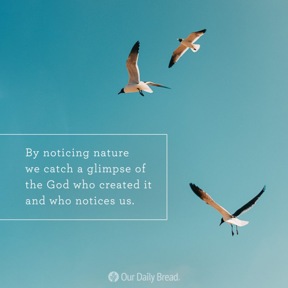 Share ODB 2021-05-09 Share ODB 2021-05-09