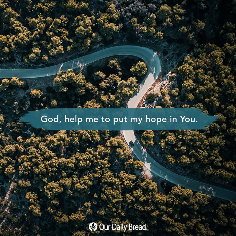 Share ODB 2020-11-29 Share ODB 2020-11-29