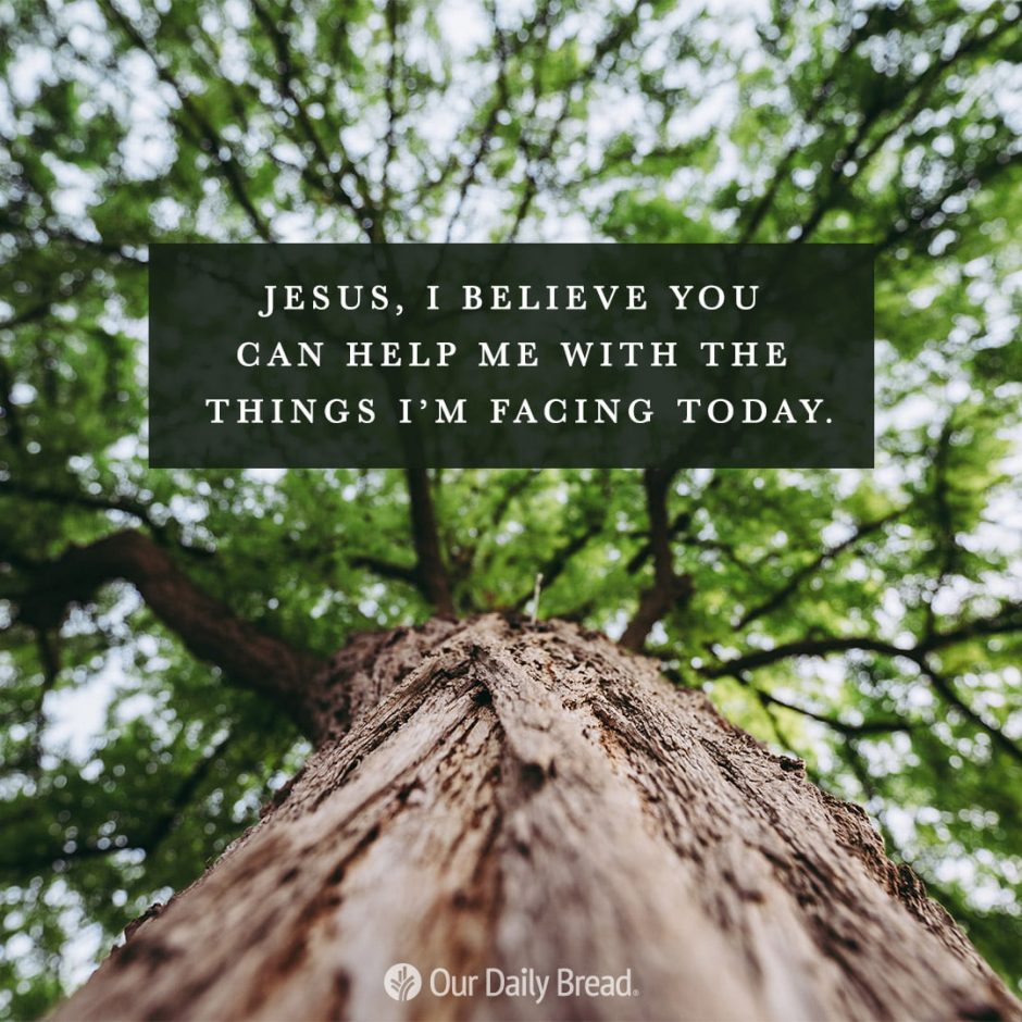 Share ODB 2021-06-19 Share ODB 2021-06-19