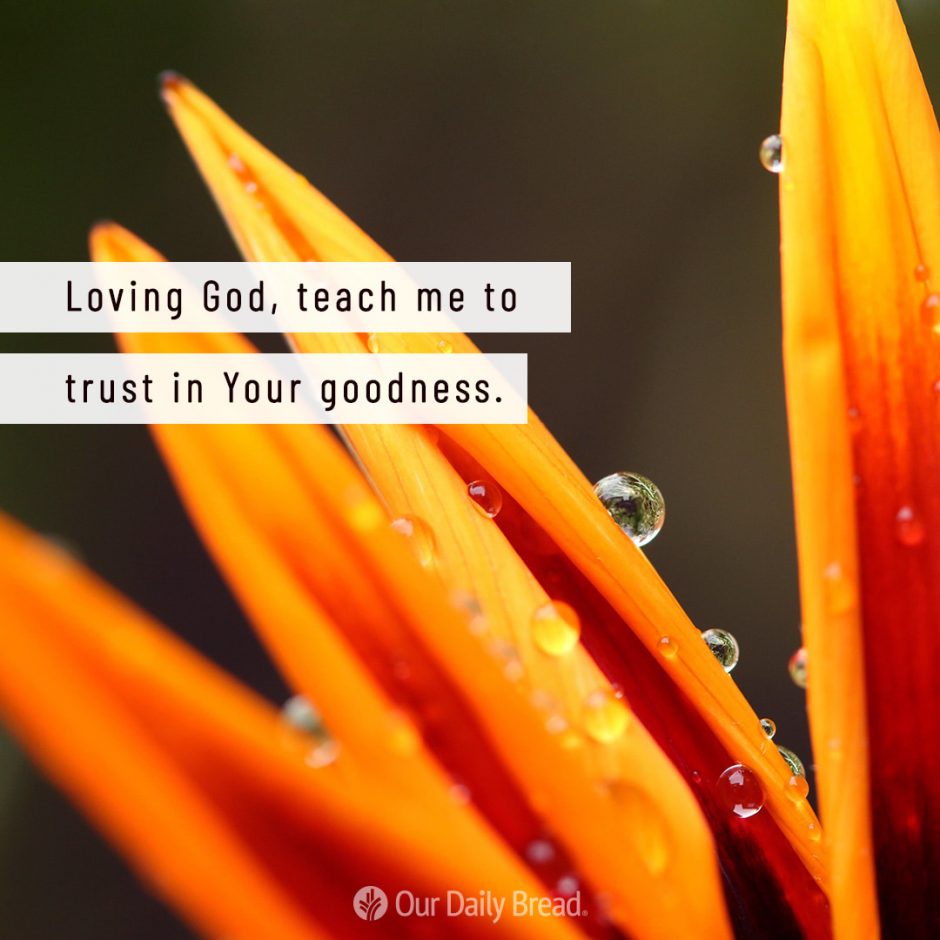 Share ODB 2021-07-18 Share ODB 2021-07-18