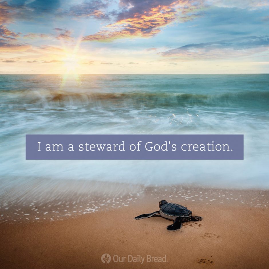 Share ODB 2022-08-04 Share ODB 2022-08-04