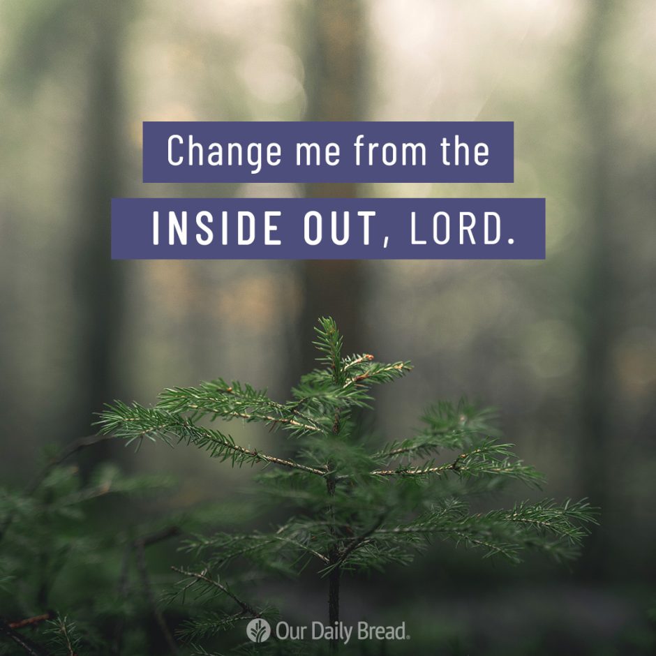 Share ODB 2022-11-28 Share ODB 2022-11-28