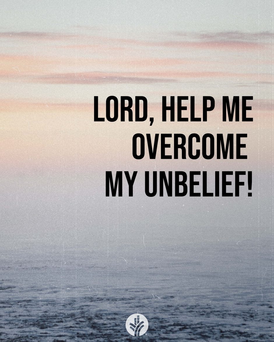 Share ODB 2024-02-28 Share ODB 2024-02-28