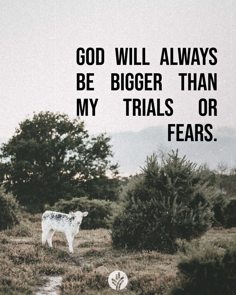 Share ODB 2024-04-04 Share ODB 2024-04-04