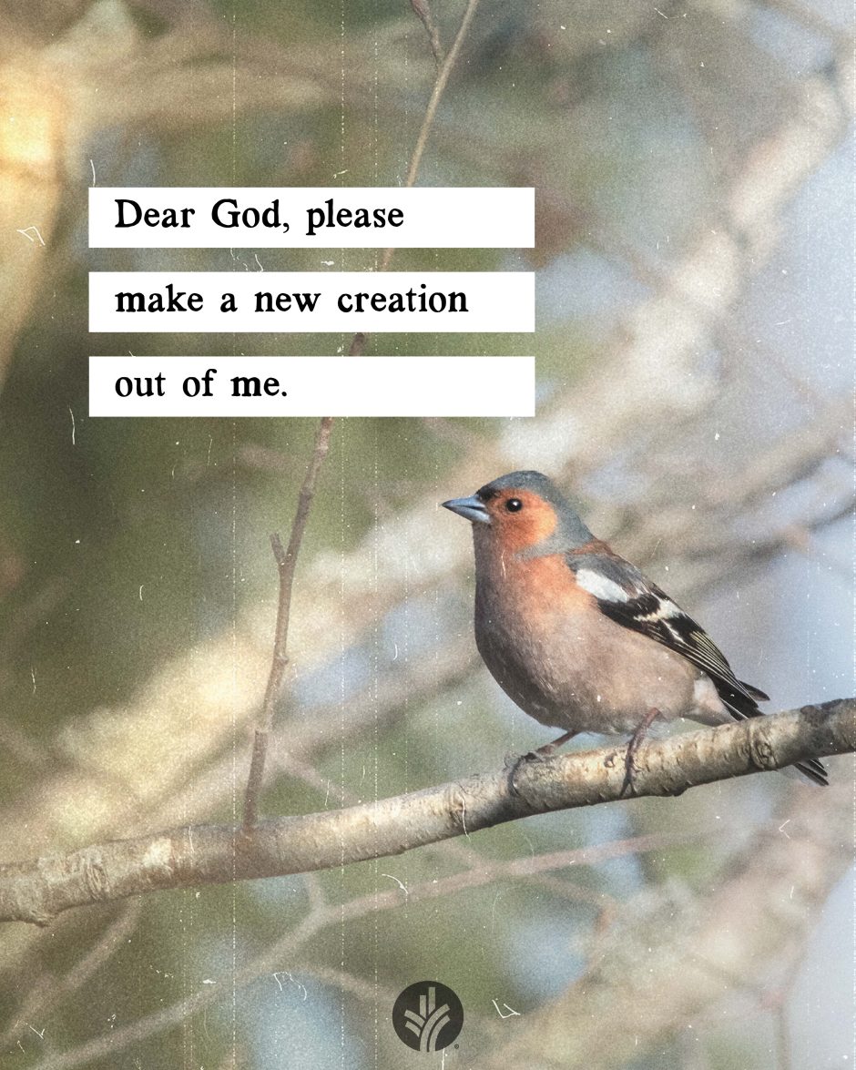 Share ODB 2024-04-06 Share ODB 2024-04-06