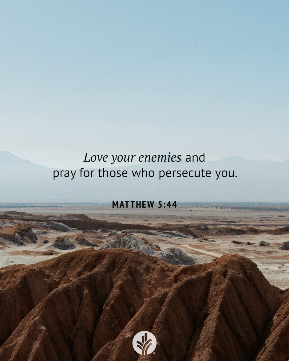 Share ODB 2024-11-11 Share ODB 2024-11-11