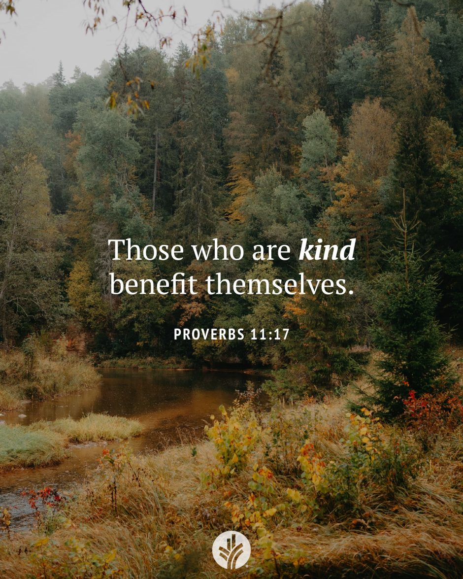 Share ODB 2024-11-13 Share ODB 2024-11-13