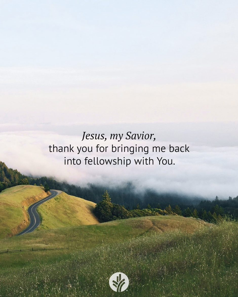 Share ODB 2024-11-15 Share ODB 2024-11-15