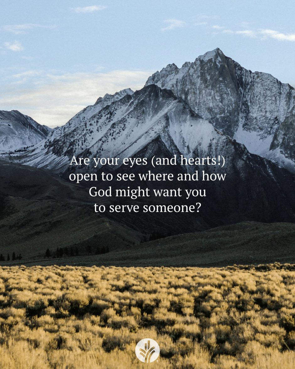 Share ODB 2024-11-16 Share ODB 2024-11-16