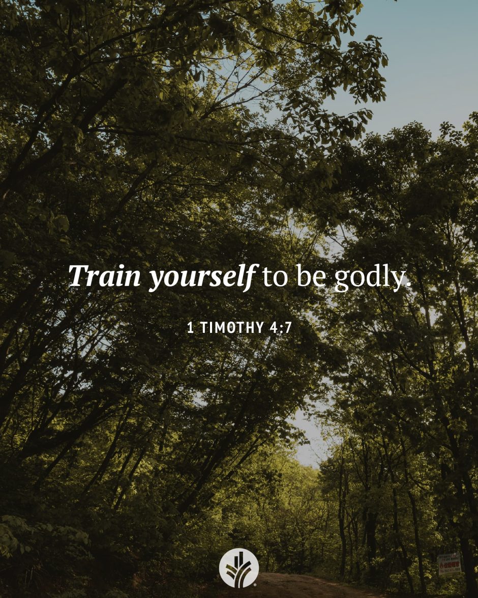 Share ODB 2024-11-17 Share ODB 2024-11-17