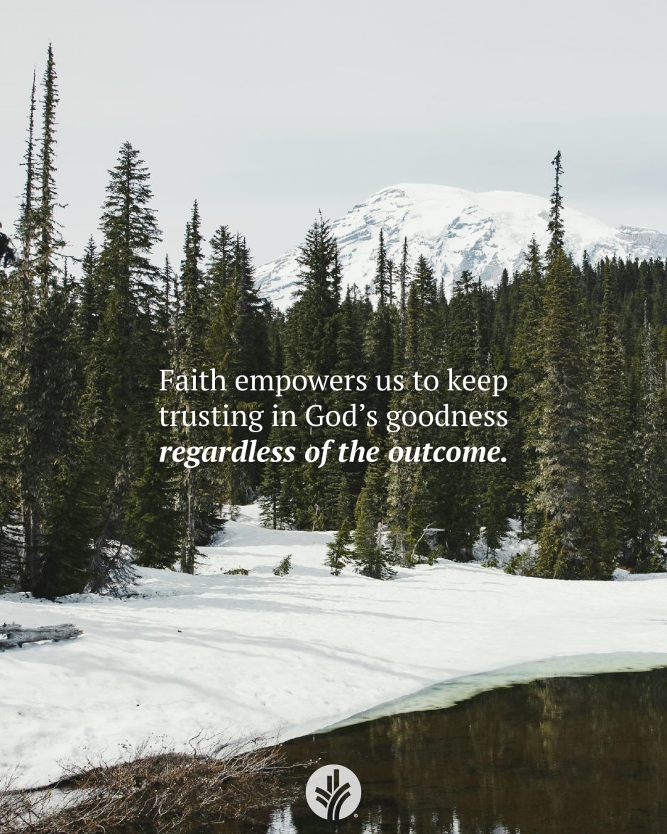 Share ODB 2024-12-28 Share ODB 2024-12-28