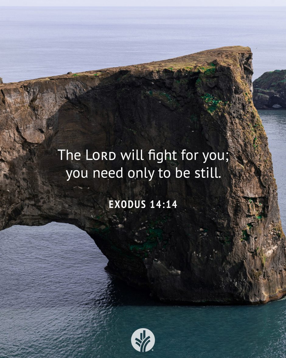 Share ODB 2025-01-16