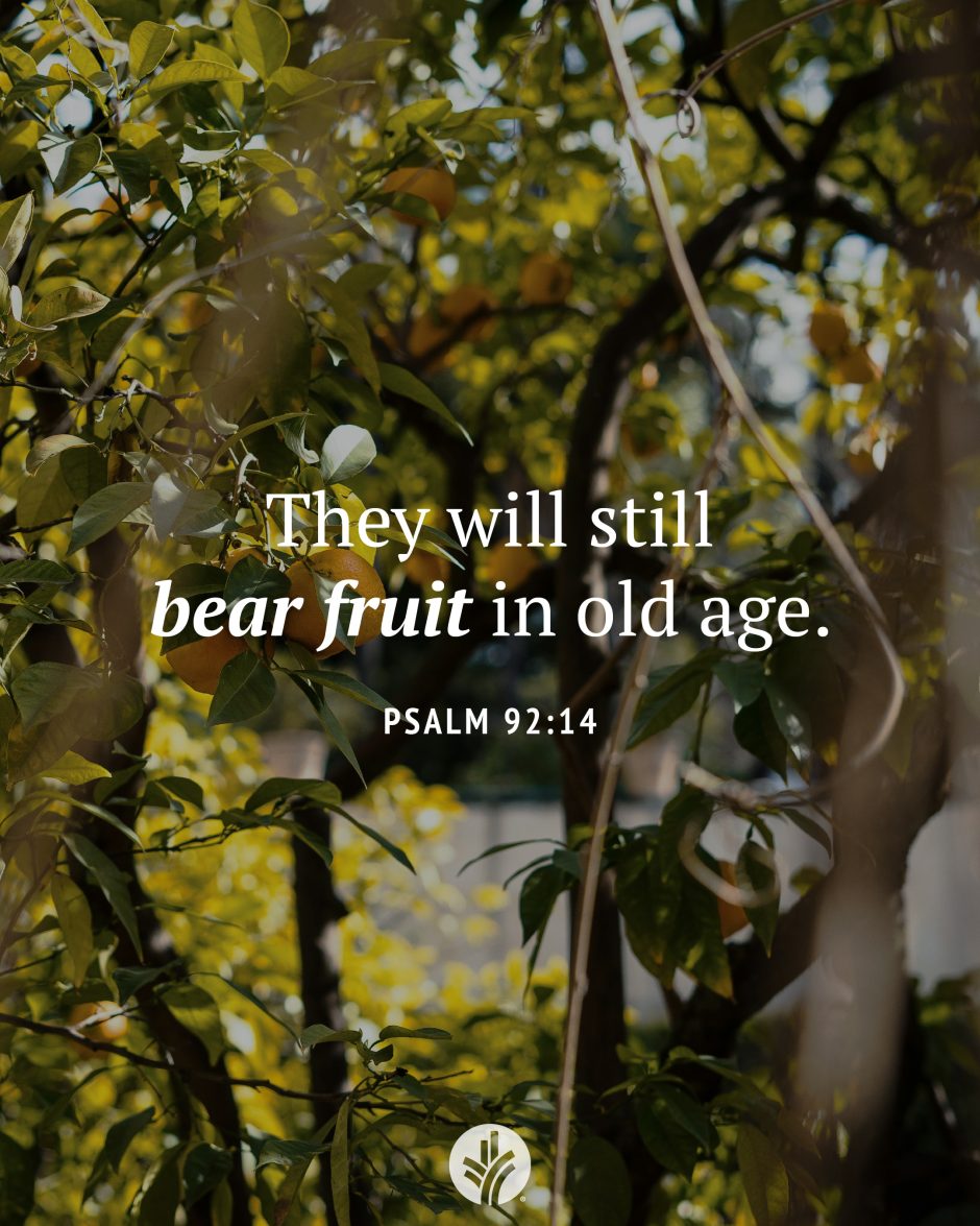 Share ODB 2025-01-19