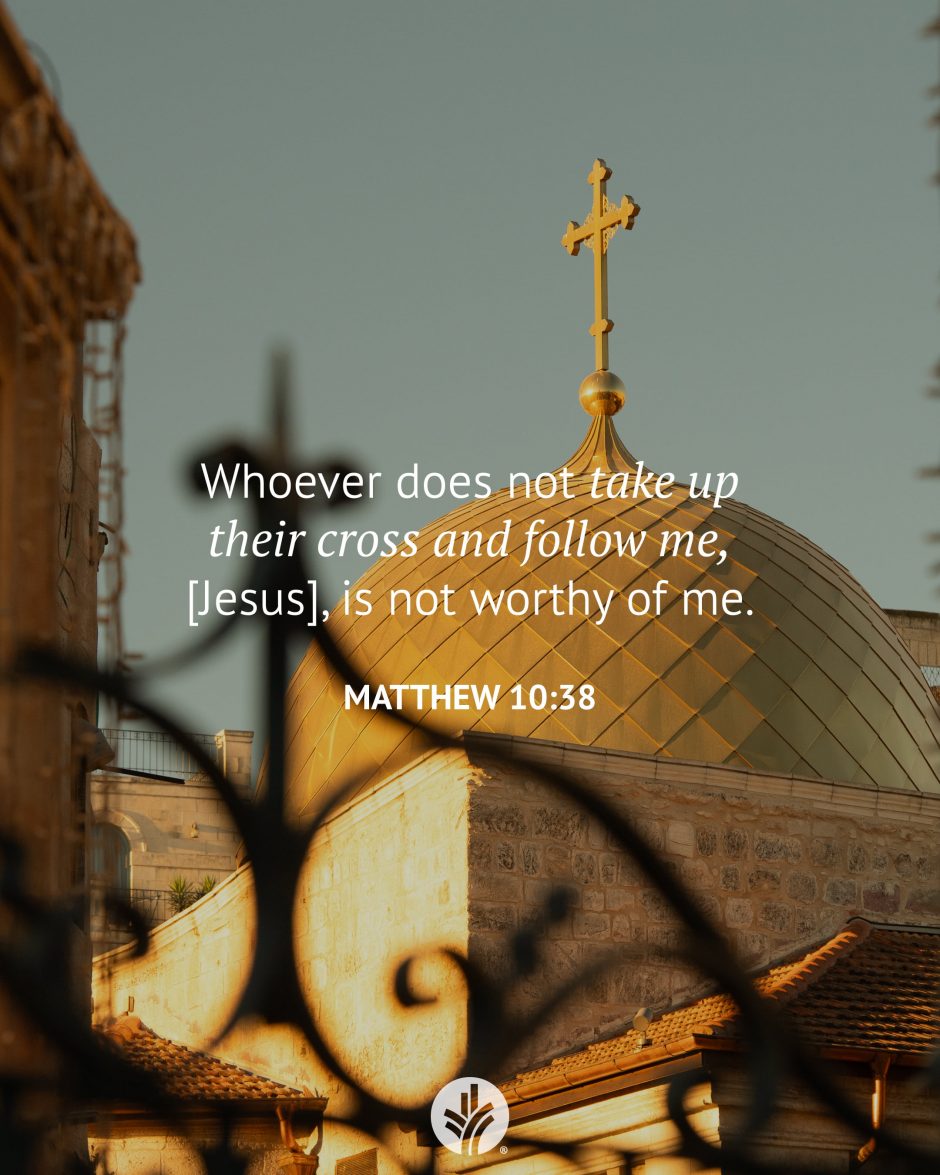 Share ODB 2026-01-17