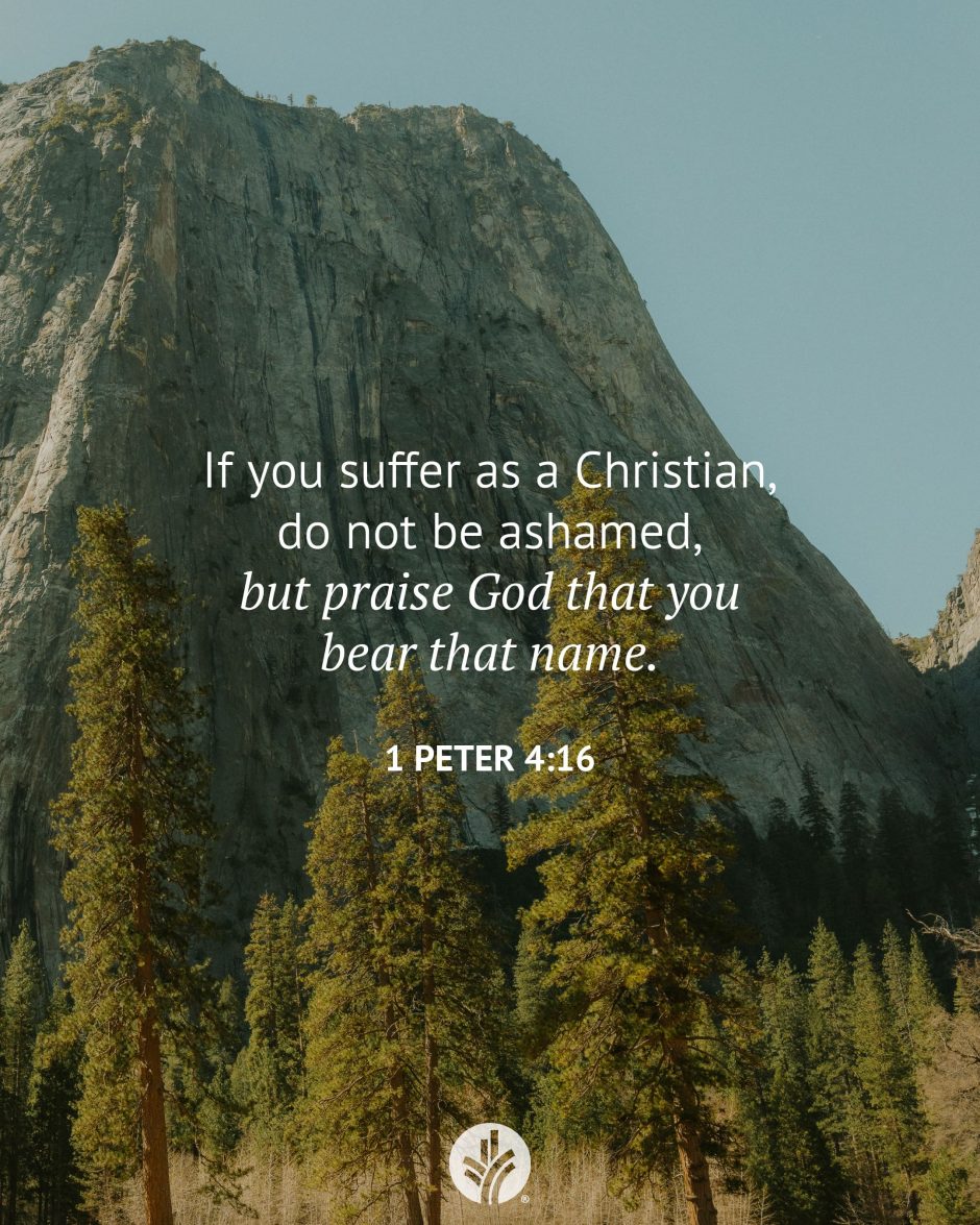 Share ODB 2026-01-20