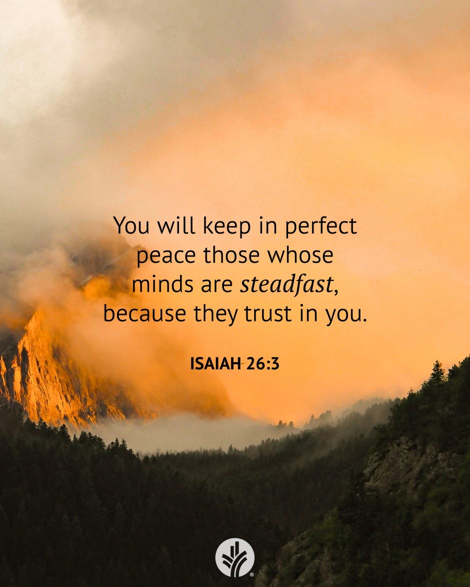 Share ODB 2026-01-31 Share ODB 2026-01-31